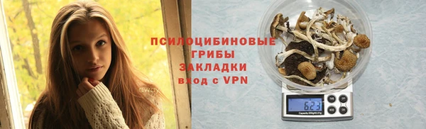 МДПВ Домодедово