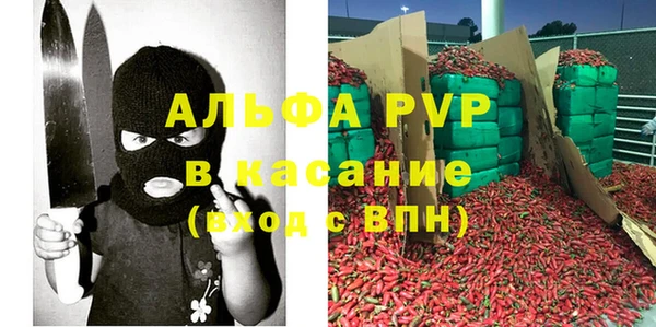 индика Новочеркасск