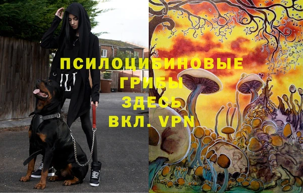 МДПВ Домодедово