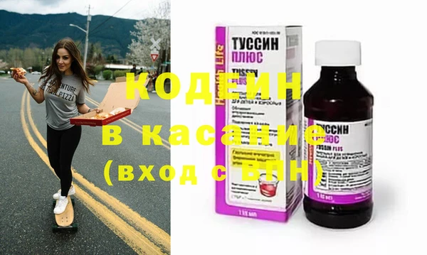 индика Новочеркасск