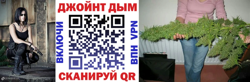 blacksprut зеркало  как найти закладки  Грайворон  Конопля OG Kush 